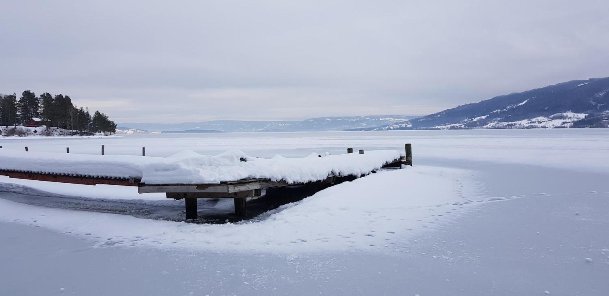 Appartamento Drolsum Gard Vikersund Esterno foto